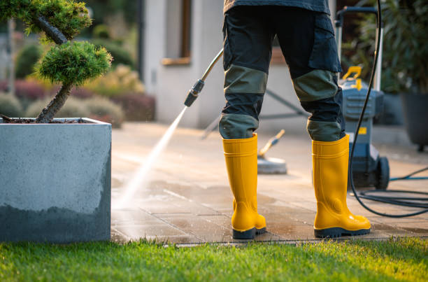 Best Pressure Washing Patio  in USA